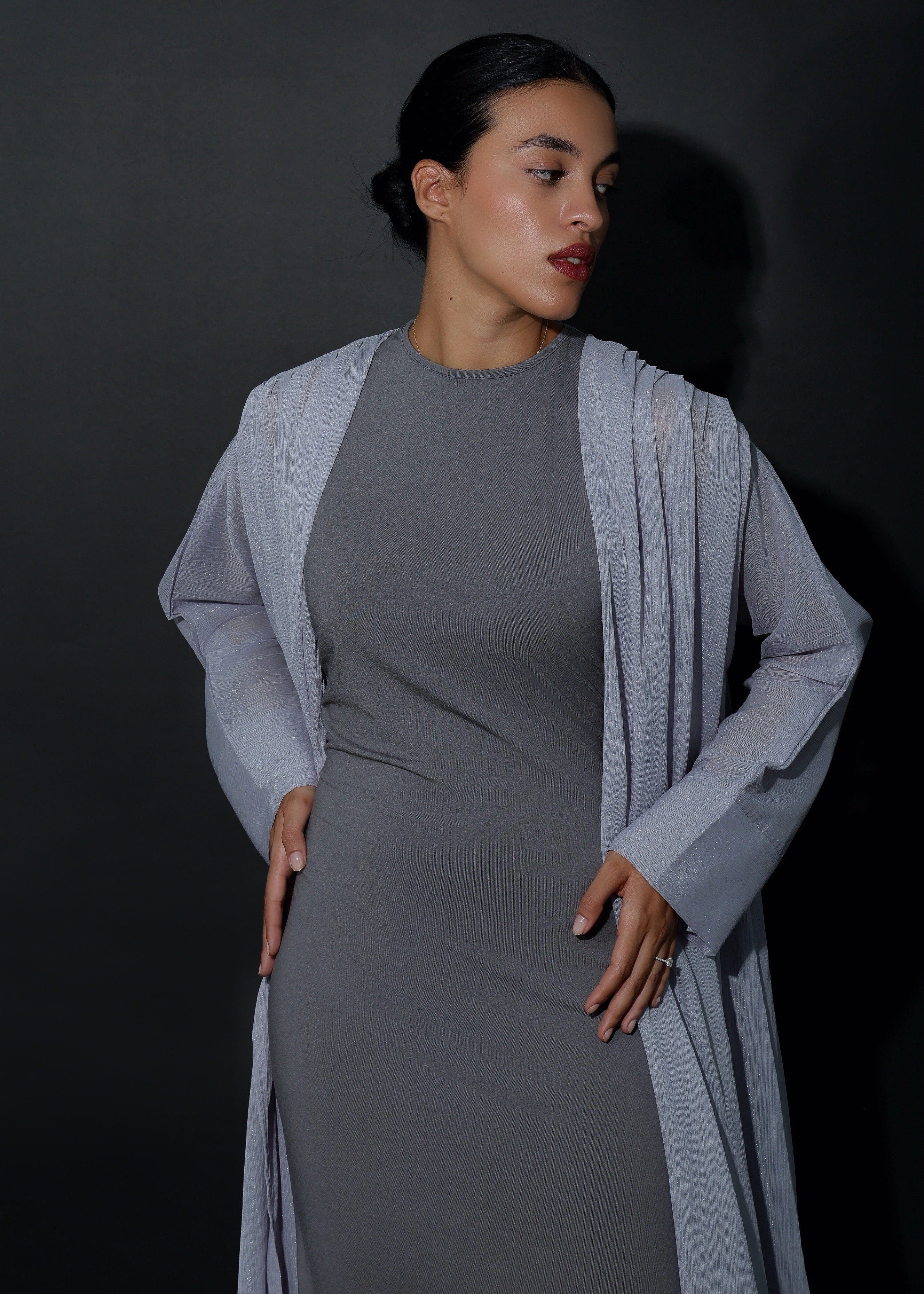 Light Grey Shimmer Overlay